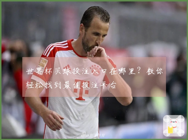 世界杯买球投注入口在哪里？教你轻松找到最佳投注平台