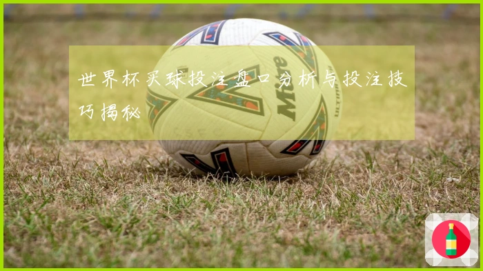 世界杯买球投注盘口分析与投注技巧揭秘