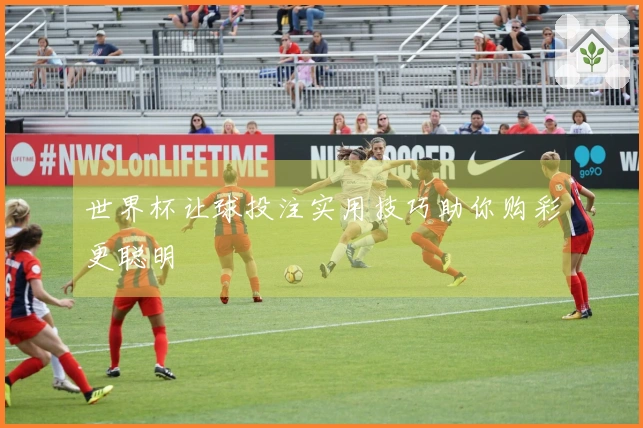 世界杯让球投注实用技巧助你购彩更聪明