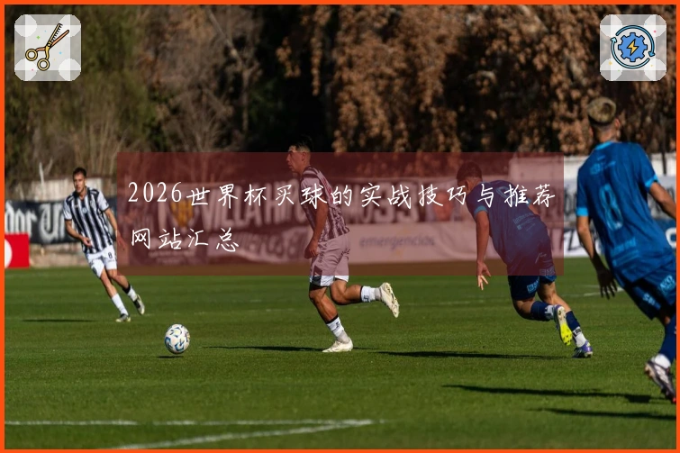 2026世界杯买球的实战技巧与推荐网站汇总