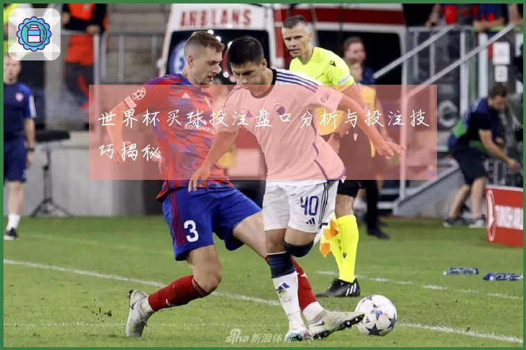世界杯买球投注盘口分析与投注技巧揭秘